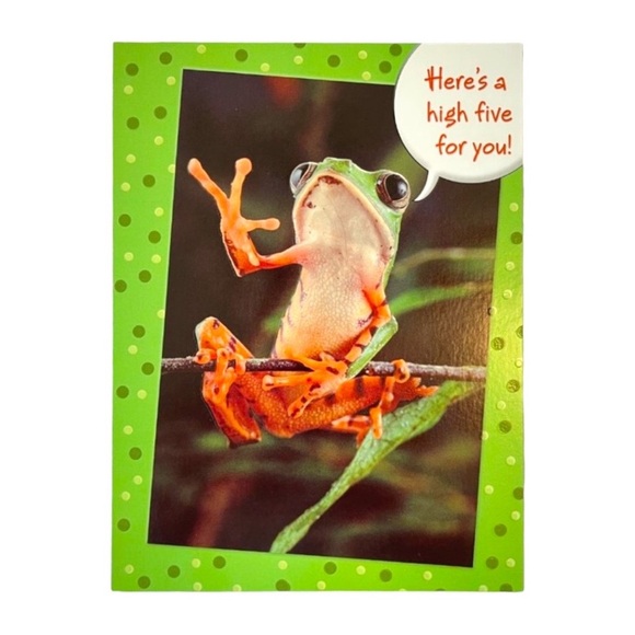 Frog High Five Happy Birthday Card - Picture 9 of 9
